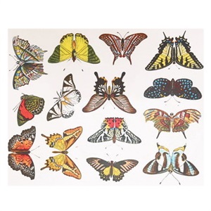 Dekaler för fusing , Färgglada fjärilar, 9,5x13,25cm